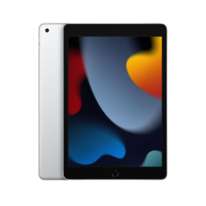 Apple iPad 64 GB 25,9 cm (10.2") Wi-Fi 5 (802.11ac) iPadOS 15 Zilver