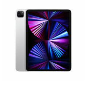 Apple iPad Pro 2 TB 27,9 cm (11") Apple M 16 GB Wi-Fi 6E (802.11ax) iPadOS 16 Zilver