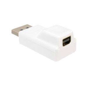 DeLOCK Displayport/mini Displayport Wit