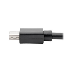 Eaton Tripp Lite P139-06N-DP4K6B DisplayPort kabel 0,2 m Mini DisplayPort Zwart