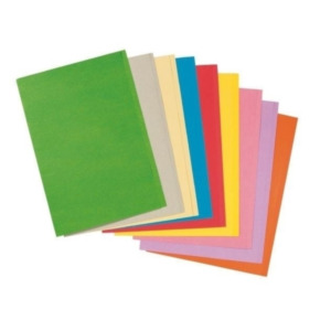 Esselte Leitz Esselte Cardboard Folder Chamois 180 g/m2 Meerkleurig A4