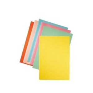 Esselte Leitz Esselte Cardboard Folder Chamois 80 g/m2 Meerkleurig A4