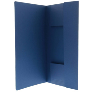 Esselte Leitz Esselte Folder with 3 flaps Folio, Blue Blauw