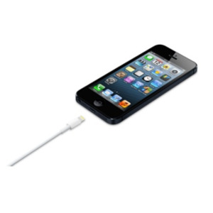Foxconn Apple Lightning / USB 0,5 m Wit