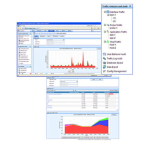 HP Enterprise IMC Network Traffic Analyzer Network monitoring