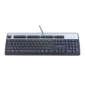 HP HP USB Standard Basis Keyboard Silverr/Black US/INT