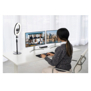 Kensington A1010 Telescoping Desk Stand