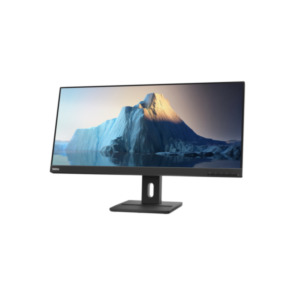 Lenovo ThinkVision E29w-20 73,7 cm (29") 2560 x 1080 Pixels UltraWide Full HD LED Zwart