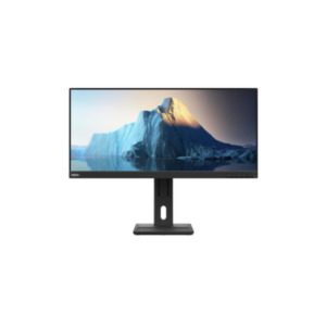 Lenovo ThinkVision E29w-20 73,7 cm (29") 2560 x 1080 Pixels UltraWide Full HD LED Zwart