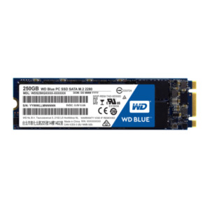 Western Digital Blue SSD 250GB SATA III 6Gb s 	M.2 2280