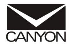 Logo Canyon