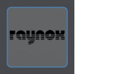 Logo Raynox