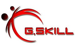 Logo G.Skill